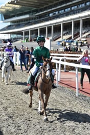 Paddock & Winners Enclosure