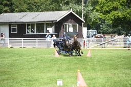 D42_1820 2026