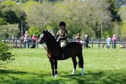 M19_0583 2026