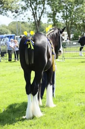 E33_4538 2026