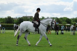 H36_9032 2026