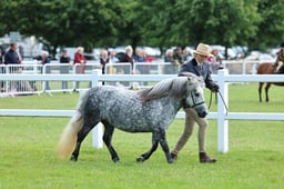 Z41_0689 2026