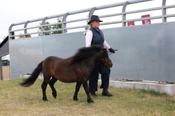 M44_0011 2026