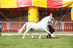 E34_1656 2026