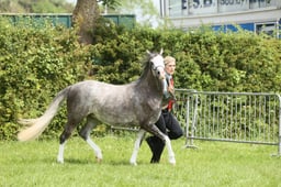 E34_2036 2026