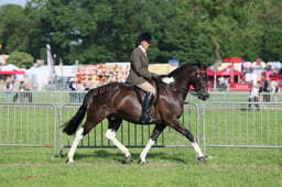 C34_0480 2026