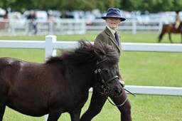 Z41_0550 2026