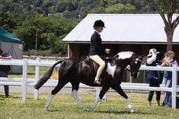 E42_2010 2026