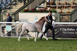 C69_4195 2026