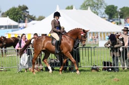 C33_0956 2026