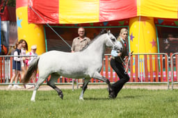 E34_1266 2026