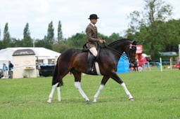 H36_8400 2026