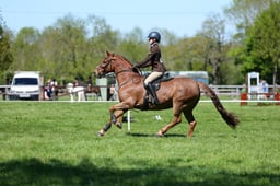 M19_0627 2026