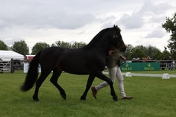 W29_0740 2026