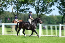 64 WHP RIHS Open 143cms