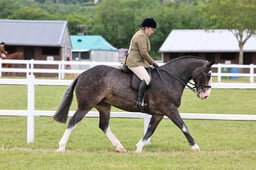 Z43_6290 2026
