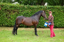 F45_0309 2026