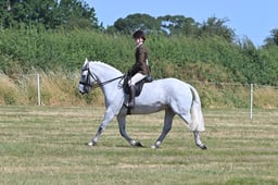 S60_0684 2026