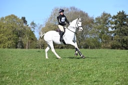 137 Maisy
