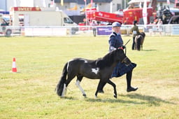 N68_6503 2026