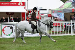 74-73 HOYS Intermediate Championship