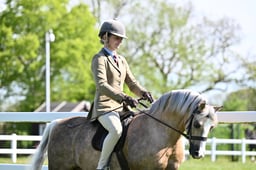 51 M&M Confined Novice Welsh A & B