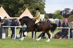 E30_1710 2026