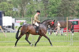 C34_1798 2026