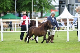 H44_0074 2026