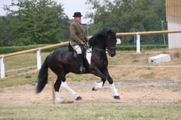 M65_5495 2026