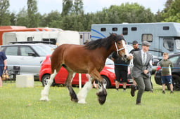 E36_1515 2026
