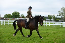 British Supreme Flat Ridden Championship