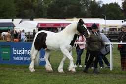 E31_0879 2026