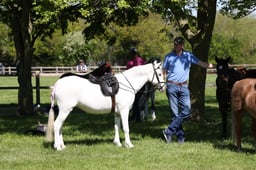 137 First Ridden WHP