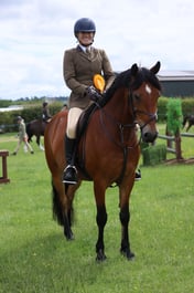 78 SEIB SFAS HOYS  Working Pony