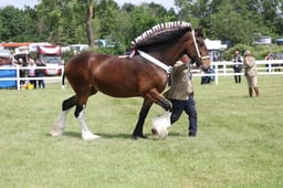 M41_0792 2026