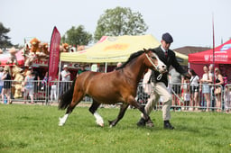 E34_1435 2026