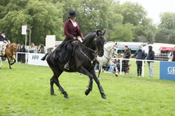 E30_5604 2026