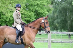 CL 13C Senior Plus Horse