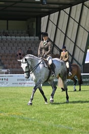 A68_1501 2026