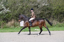 29 RIHS Amateur Lightweight Hunter