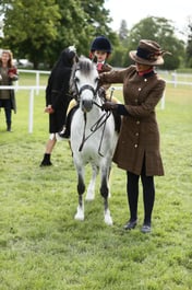 E30_0590 2026