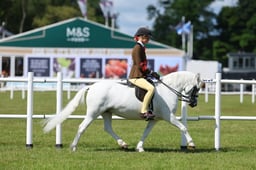 JNR Ridden M&M Championship