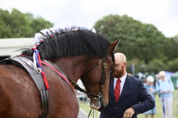 E36_1018 2026