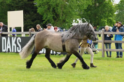 S29_0878 2026