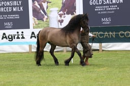 M44_0613 2026