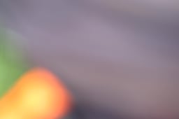 D21_5882 2026