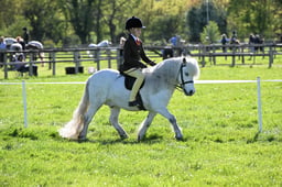 S19_8644 2026