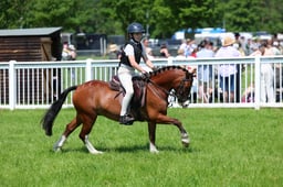 F33_0902 2026