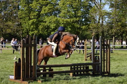 E19_6463 2026